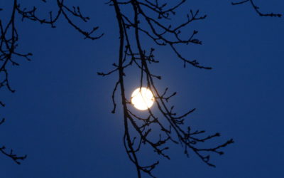 Stille