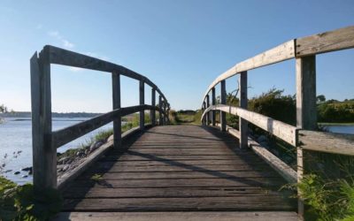 Die Natur wirken lassen