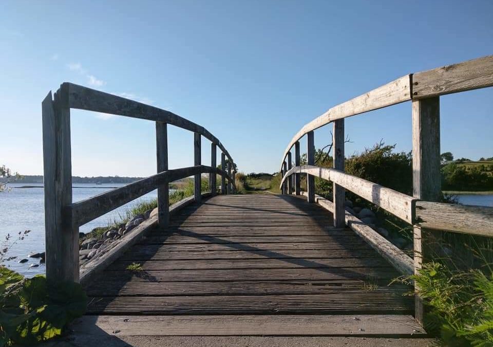 Die Natur wirken lassen