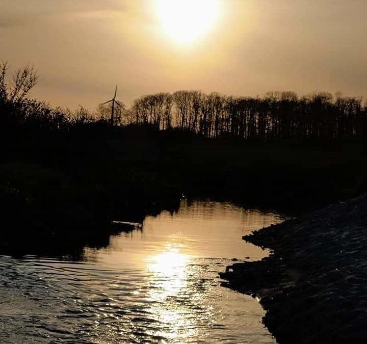 The world we live in