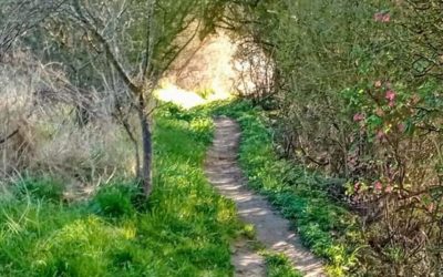 Into the light