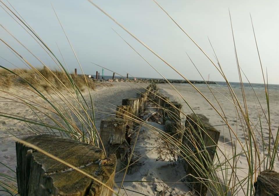 Took some time outside