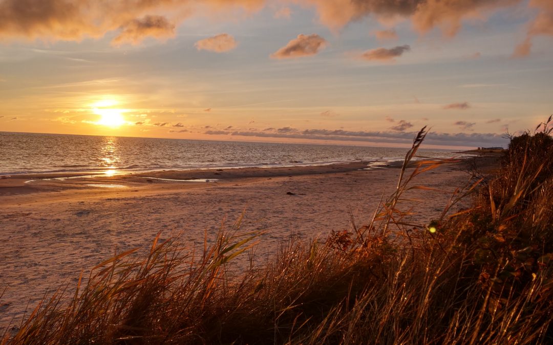Ein Morgen am Strand