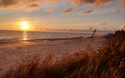 Ein Morgen am Strand