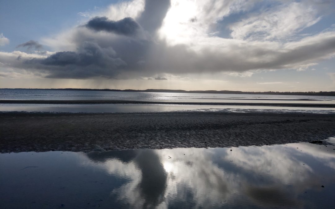 Farbenspiele am Vormittag