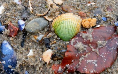 Wasser und Erde