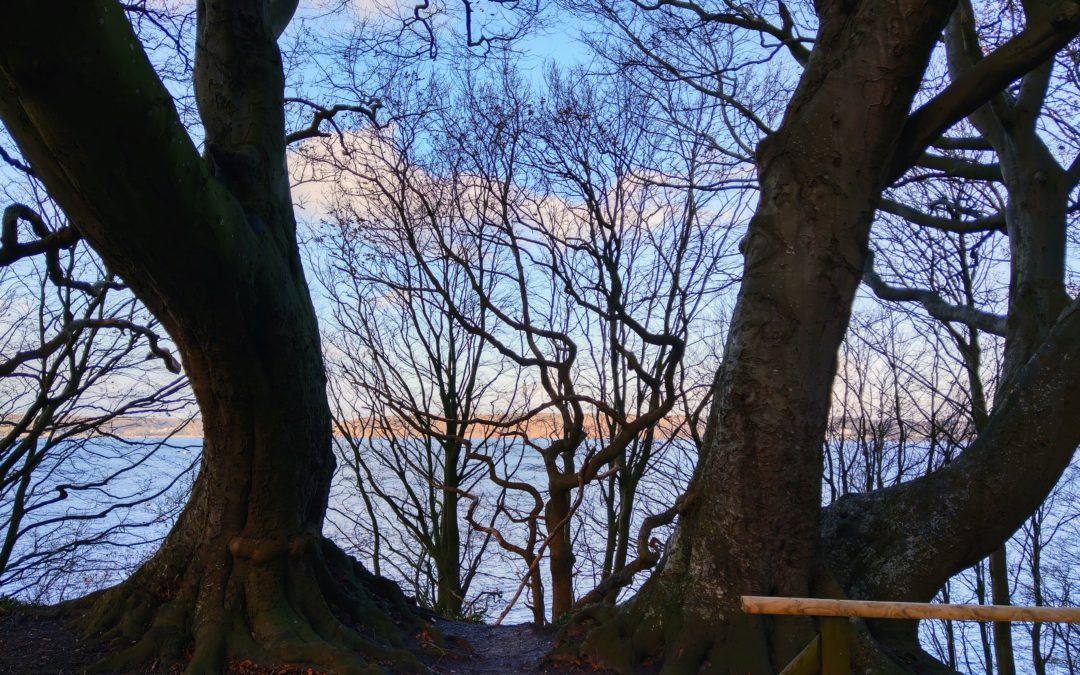 In der Natur liegt Freiheit