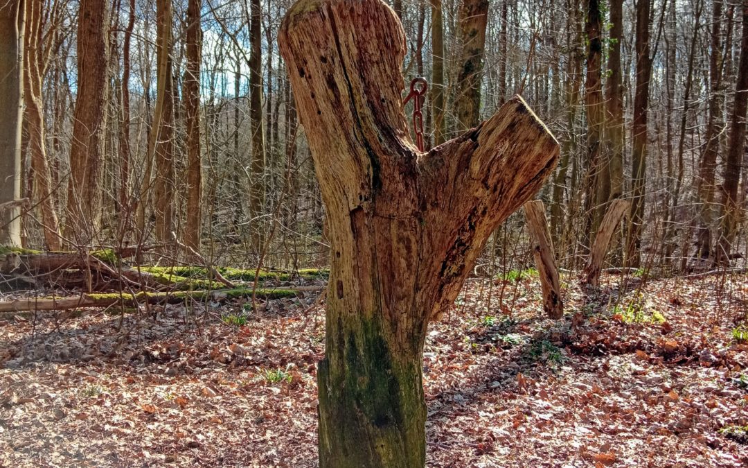 Reden ist Silber, schweigen ist Gold