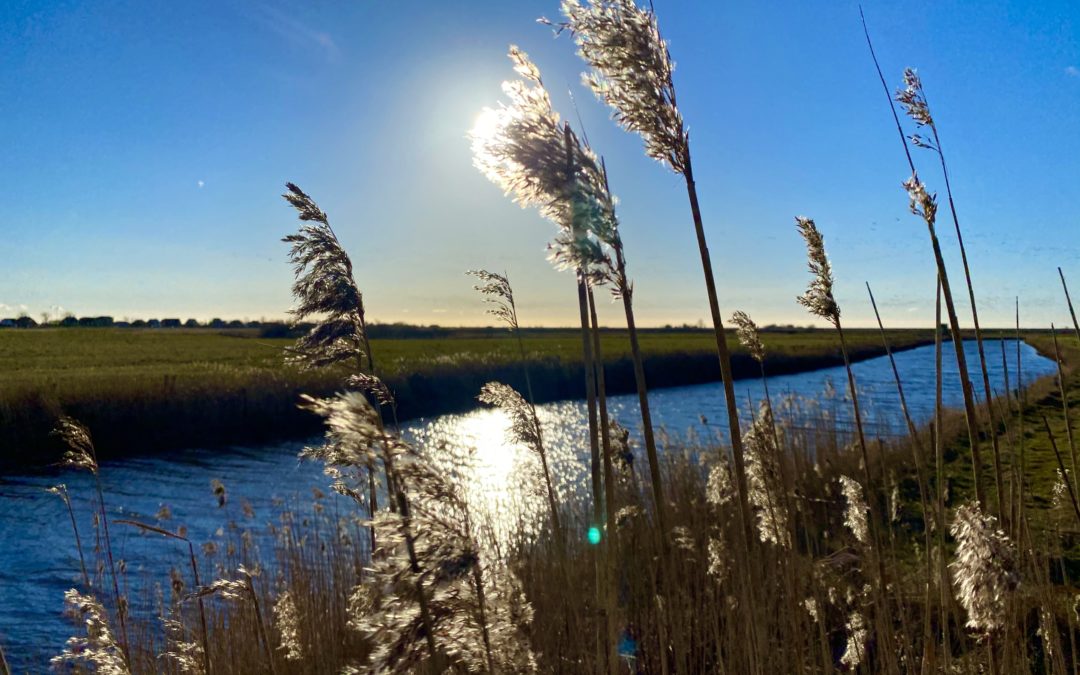 Irgendwo in Nordfriesland