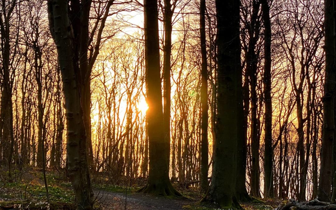 Am Ende steht das Licht