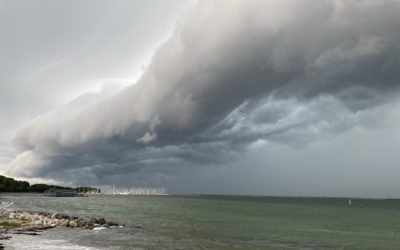 Shelfcloud