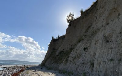 Kragesand Teil ll