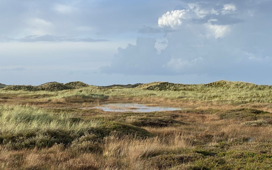 Kystvejen nahe Hanstholm