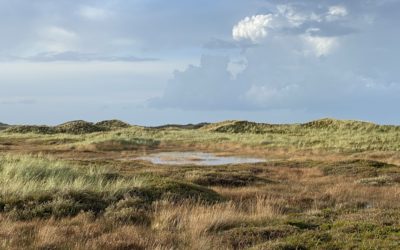 Kystvejen nahe Hanstholm