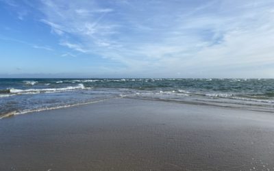 Grenen
