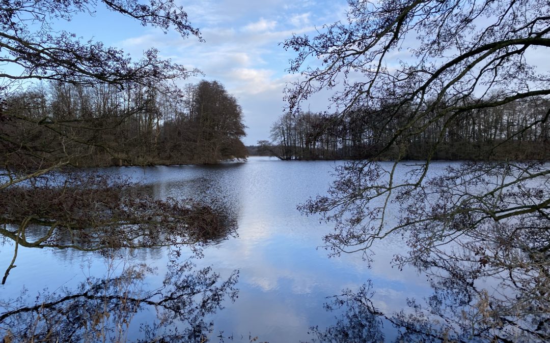 Sankelmarker See